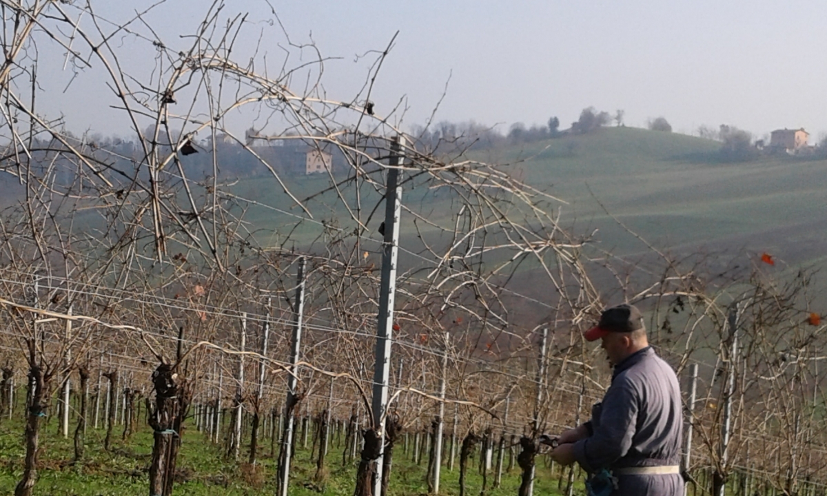 vino metodo Champenoise Modena