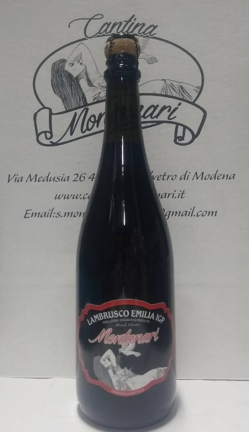Vino rosso e bianco in bottiglia a Modena Castelvetro